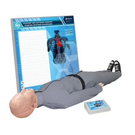 Тренажер-манекен взрослого пострадавшего для отработки приемов сердечно-легочной реанимации с контроллером и настенным табло Александр М-08, артикул М4000