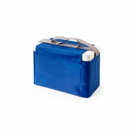 Термоконтейнер ТМ6 (6,8 л) с хладоэлементами