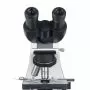 Микроскоп биологический бинокулярный Микромед 2 (вар. 2 LED М), арт. 27207